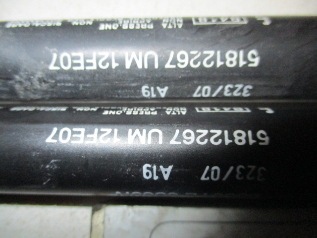 AMORTIZERJI PRTLJAZNIH VRAT  OEM N. 51812267 ORIGINAL REZERVNI DEL FIAT BRAVO 198 (02/2007 - 2010) DIESEL LETNIK 2009