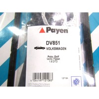 DV851 KIT GUARNIZIONE COPRITESTATACOPERCHIO PUNTERIE PAYEN AUDI 80 1.9 D 50 KW RICAMBIO NUOVO