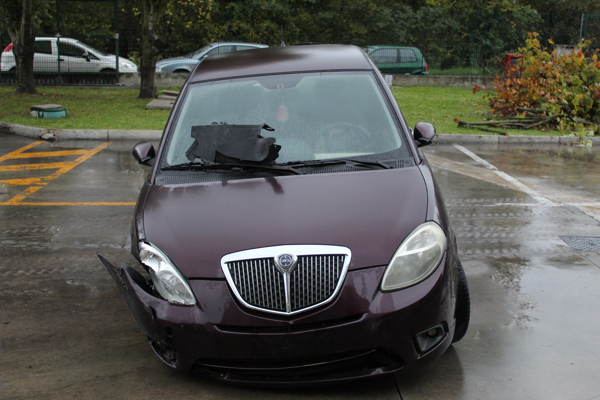 LANCIA Y 1.3 D 55KW 5M 3P (2009) RICAMBIO USATO 