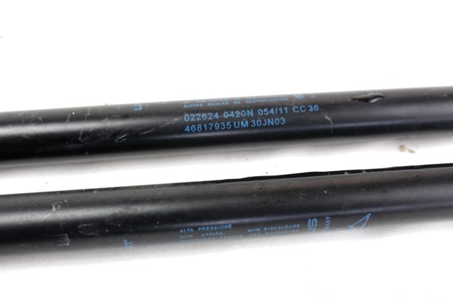 AMORTIZERJI PRTLJAZNIH VRAT  OEM N. 46817935 ORIGINAL REZERVNI DEL LANCIA Y YPSILON 843 R (2006 - 2011) DIESEL LETNIK 2011