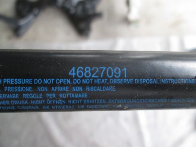 AMORTIZERJI PRTLJAZNIH VRAT  OEM N. 46827091 ORIGINAL REZERVNI DEL FIAT PANDA 169 R (2009 - 2011) BENZINA/METANO LETNIK 2009