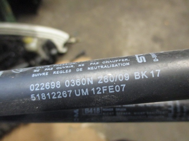 AMORTIZERJI PRTLJAZNIH VRAT  OEM N. 51812267 ORIGINAL REZERVNI DEL FIAT BRAVO 198 (02/2007 - 2010) BENZINA/GPL LETNIK 2010